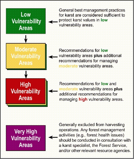 Vulnerability category features