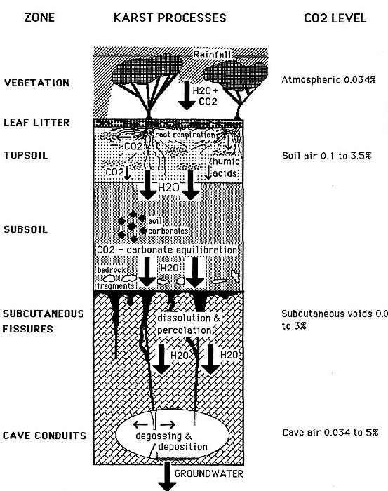 soil diagram