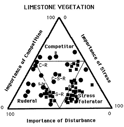 limestone plant diagram