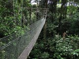 Canopy-walk-(16)