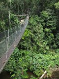 Canopy-walk-(42)