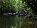 Clearwater-cave-boats-(14)