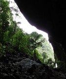 Deer-cave-(32)a