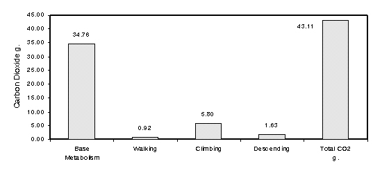 carbon dioxide generation