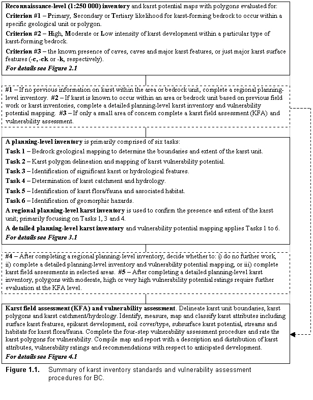 summary of karst inventory standards