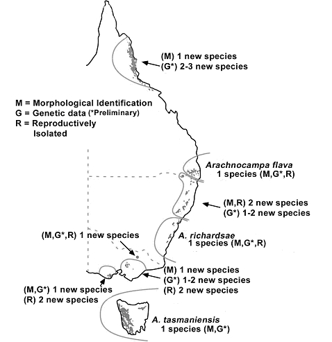 Glowworm distribution in Australia