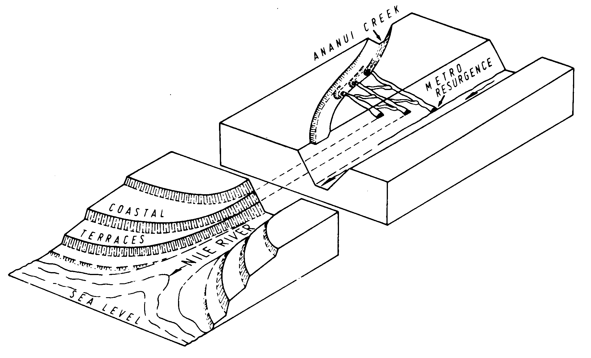 57westcoastkarstfig3