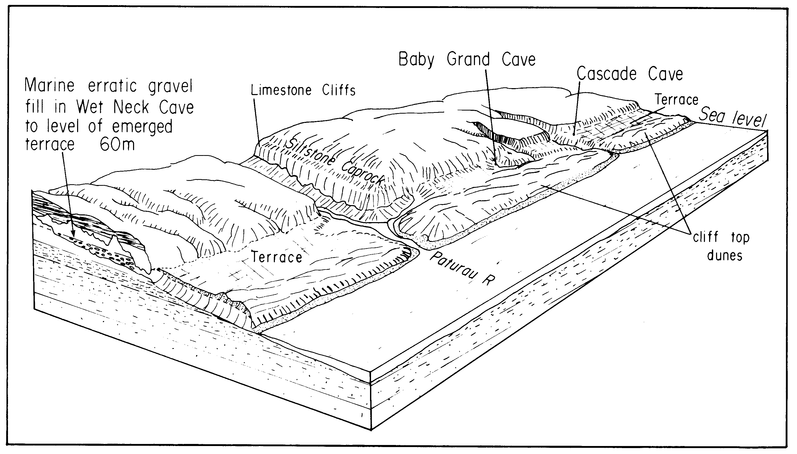 57westcoastkarstfig4