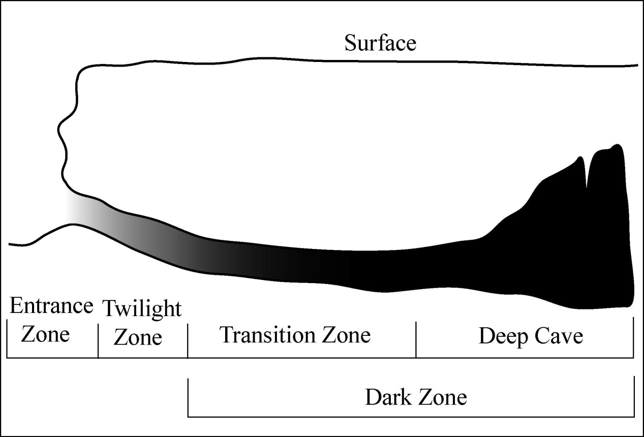 20Mouldsfig02